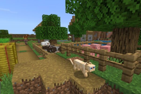 how to tame cat minecraft a in on village