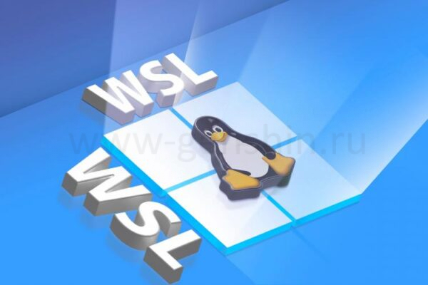Логотип Windows с маскотом Linux над ним и надписью 'WSL' сбоку.