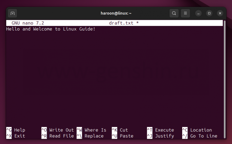 Файл текстов открыт в текстовом редакторе nano в Ubuntu Linux.