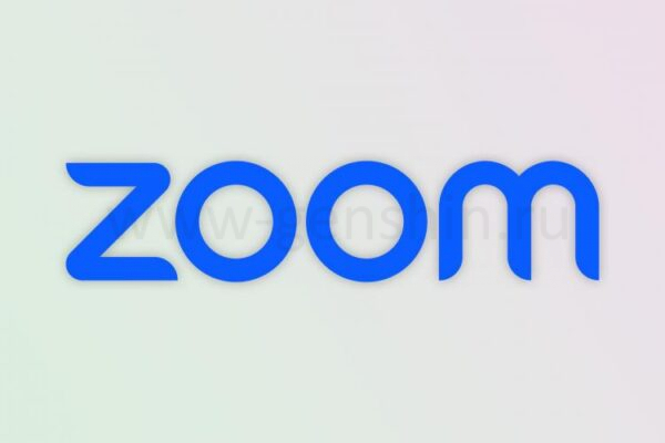 Логотип Zoom.