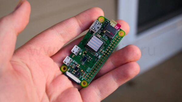 Person holding a Raspberry Pi Zero