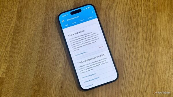 Developer Tools in the Home Assistant app on an iPhone.