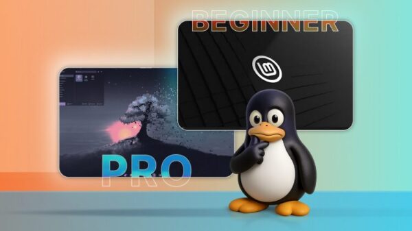 A thoughtful Linux mascot beside two Linux desktop screens, divided into 'Beginner' on the right, and 'Pro' on the left.