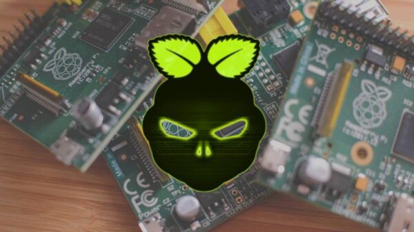 DietPi logo over a pile of Raspberry Pi devices.