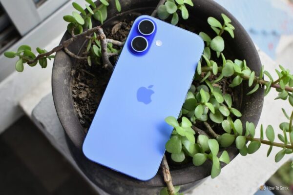 iPhone 16 в цвете Ultramarine на горшке с растением