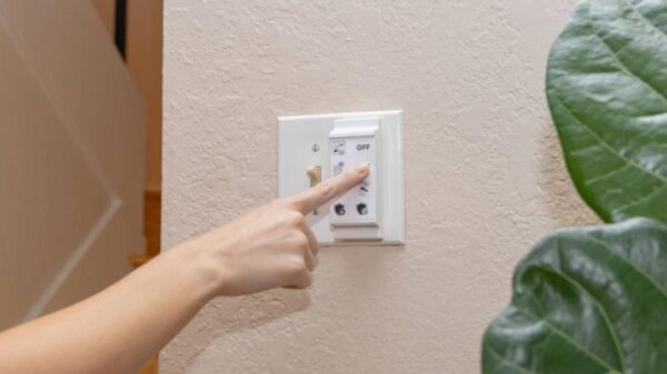 Zunzunbee-Slate-Switch-1